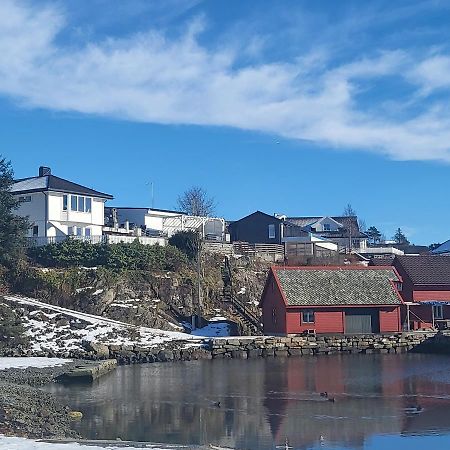 Cute Apartment By The Ocean Foldnes Экстерьер фото